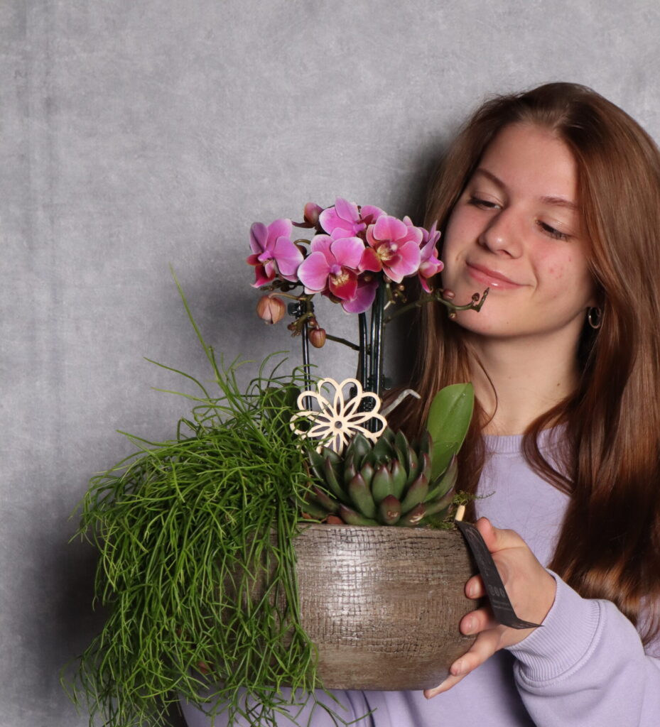 PlantCreations verzorgingtips Orchidee