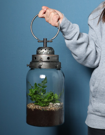 PlantCreations verzorgingtips terrarium